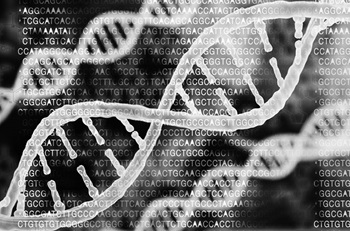 Strands of DNA and it's code